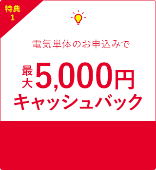 電気お申込みでおトク！最大5,000円キャッシュバック